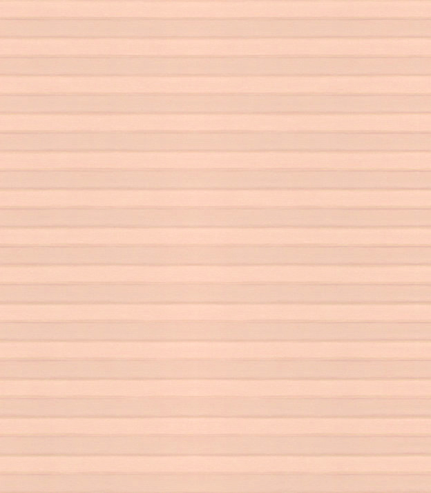 Detailansicht Plissee Empty 5304.9751