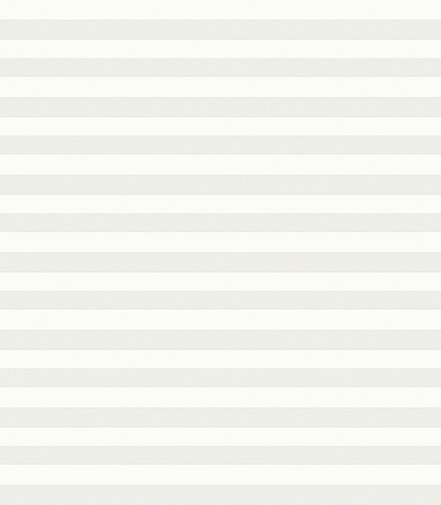 Detailansicht Plissee Krepp Dark 4101.0811