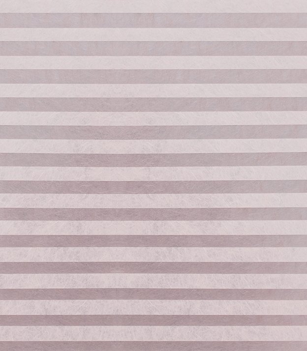 Detailansicht Plissee Stentando 6204.5036