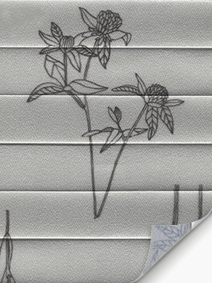 Preview Plissee Gray-Meadow 3409.8553 5