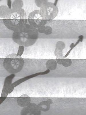 Preview Plissee Virtuoso 6680.3119 5