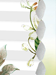 Stoff DUETTE® Amancio 12.549